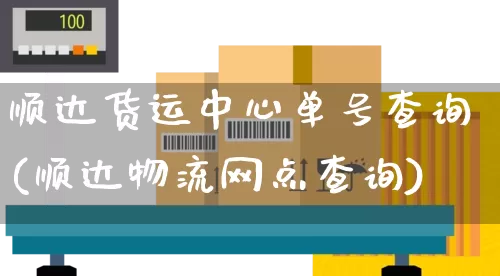 顺达货运中心单号查询(顺达物流网点查询)_https://www.senxinmaoyi.com_邮政编码_第1张