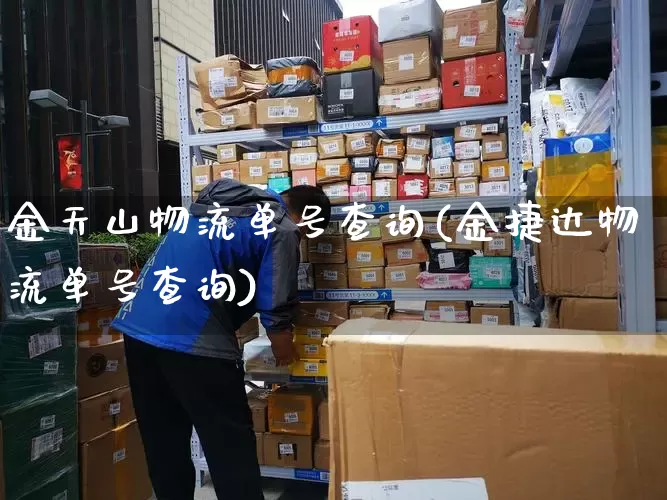 金天山物流单号查询(金捷达物流单号查询)_https://www.senxinmaoyi.com_物流单号_第1张