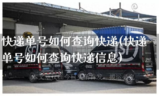 快递单号如何查询快递(快递单号如何查询快递信息)_https://www.senxinmaoyi.com_快递查询_第1张