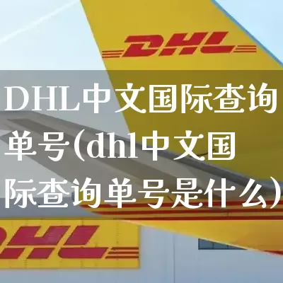 DHL中文国际查询单号(dhl中文国际查询单号是什么)_https://www.senxinmaoyi.com_邮政编码_第1张