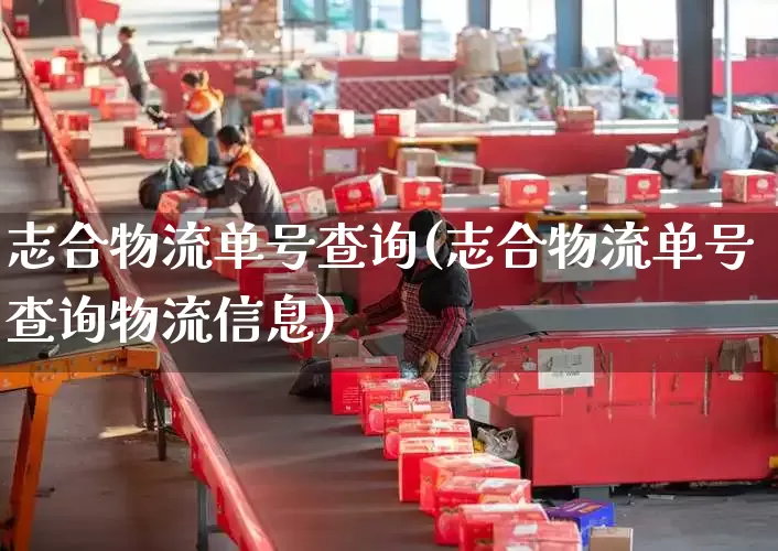 志合物流单号查询(志合物流单号查询物流信息)_https://www.senxinmaoyi.com_邮政编码_第1张