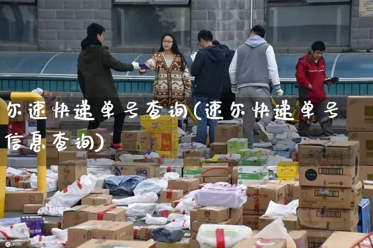 尔速快递单号查询(速尔快递单号信息查询)_https://www.senxinmaoyi.com_快递查询_第1张