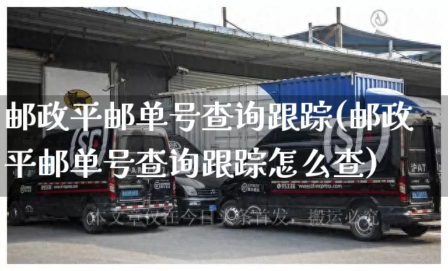 邮政平邮单号查询跟踪(邮政平邮单号查询跟踪怎么查)_https://www.senxinmaoyi.com_物流查询_第1张