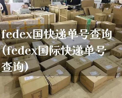 fedex国快递单号查询(fedex国际快递单号查询)_https://www.senxinmaoyi.com_邮政编码_第1张