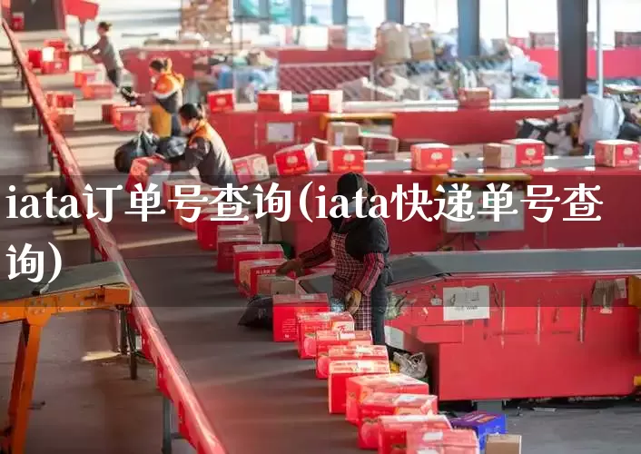 iata订单号查询(iata快递单号查询)_https://www.senxinmaoyi.com_物流单号_第1张