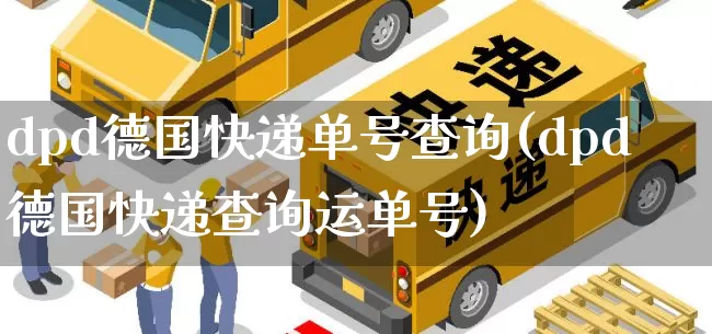 dpd德国快递单号查询(dpd德国快递查询运单号)_https://www.senxinmaoyi.com_物流单号_第1张