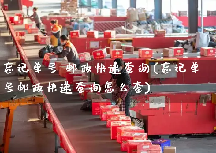 忘记单号 邮政快递查询(忘记单号邮政快递查询怎么查)_https://www.senxinmaoyi.com_物流单号_第1张
