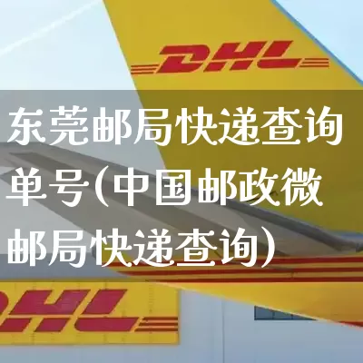 东莞邮局快递查询单号(中国邮政微邮局快递查询)_https://www.senxinmaoyi.com_物流单号_第1张