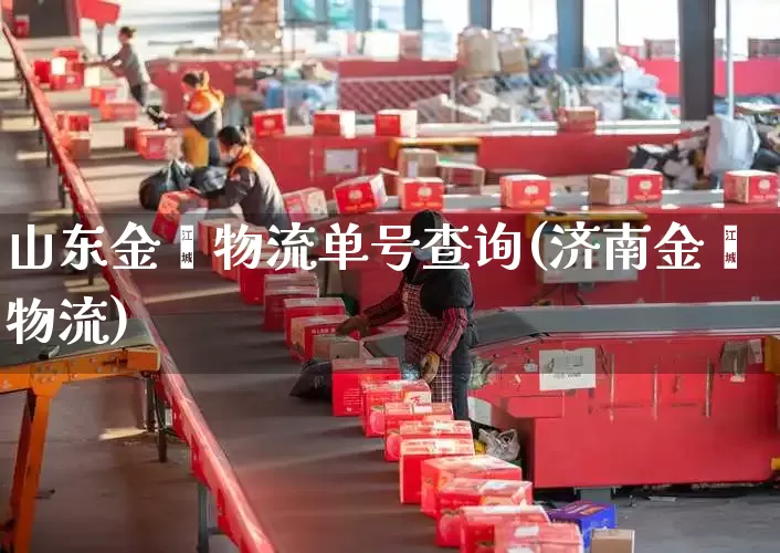 山东金鑫物流单号查询(济南金鑫物流)_https://www.senxinmaoyi.com_邮政编码_第1张