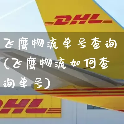 飞鹰物流单号查询(飞鹰物流如何查询单号)_https://www.senxinmaoyi.com_邮政编码_第1张
