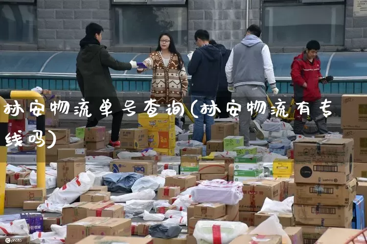 林安物流单号查询(林安物流有专线吗)_https://www.senxinmaoyi.com_物流单号_第1张