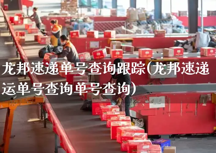 龙邦速递单号查询跟踪(龙邦速递运单号查询单号查询)_https://www.senxinmaoyi.com_快递查询_第1张