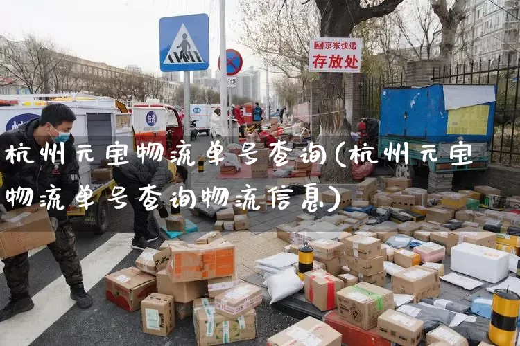 杭州元宝物流单号查询(杭州元宝物流单号查询物流信息)_https://www.senxinmaoyi.com_物流查询_第1张