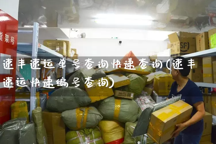 速丰速运单号查询快递查询(速丰速运快递编号查询)_https://www.senxinmaoyi.com_邮政编码_第1张