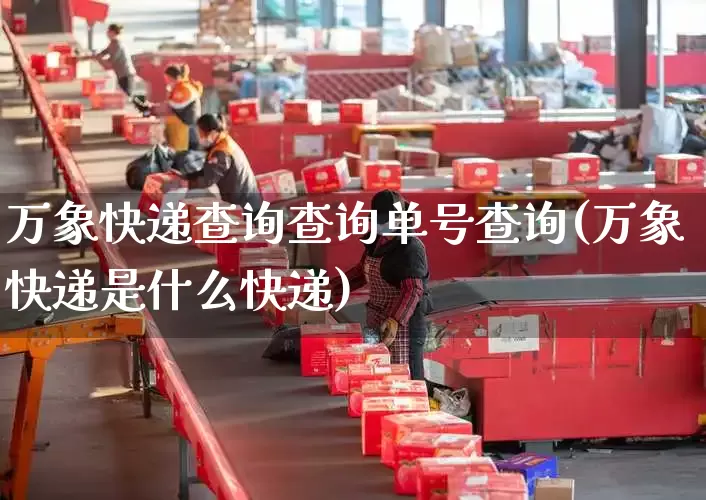 万象快递查询查询单号查询(万象快递是什么快递)_https://www.senxinmaoyi.com_物流单号_第1张
