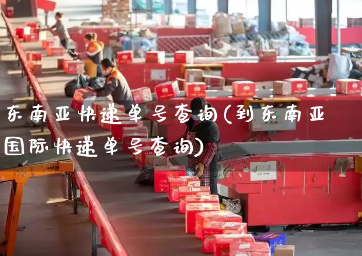 东南亚快递单号查询(到东南亚国际快递单号查询)_https://www.senxinmaoyi.com_物流单号_第1张