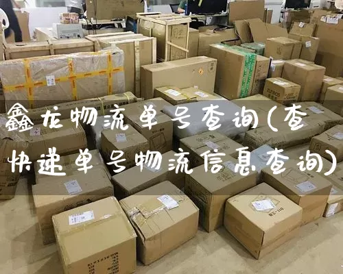 鑫龙物流单号查询(查快递单号物流信息查询)_https://www.senxinmaoyi.com_邮政编码_第1张