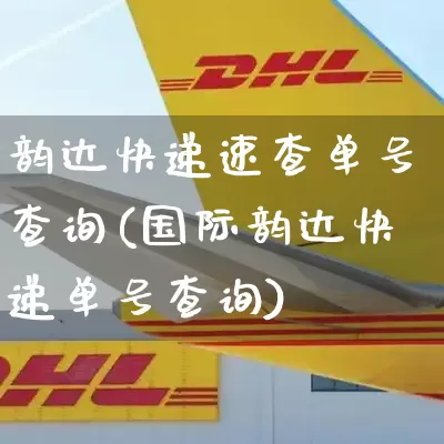 韵达快递速查单号查询(国际韵达快递单号查询)_https://www.senxinmaoyi.com_邮政编码_第1张