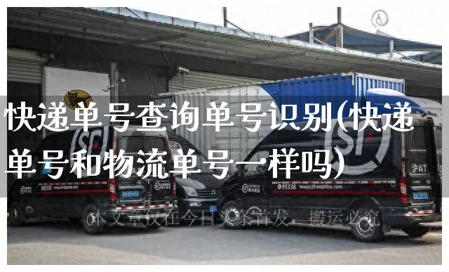 快递单号查询单号识别(快递单号和物流单号一样吗)_https://www.senxinmaoyi.com_物流查询_第1张