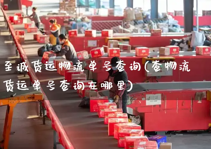 至诚货运物流单号查询(查物流货运单号查询在哪里)_https://www.senxinmaoyi.com_邮政编码_第1张