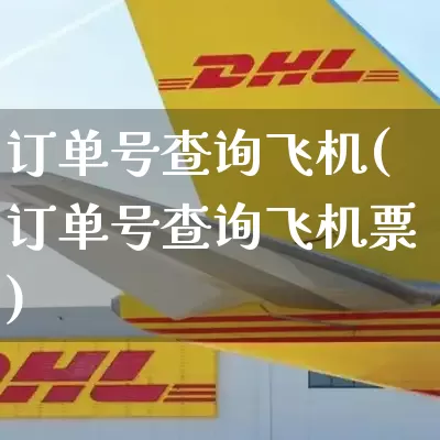 订单号查询飞机(订单号查询飞机票)_https://www.senxinmaoyi.com_物流单号_第1张