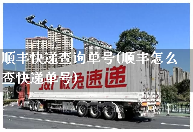 順丰快递查询单号(顺丰怎么查快递单号)_https://www.senxinmaoyi.com_邮政编码_第1张
