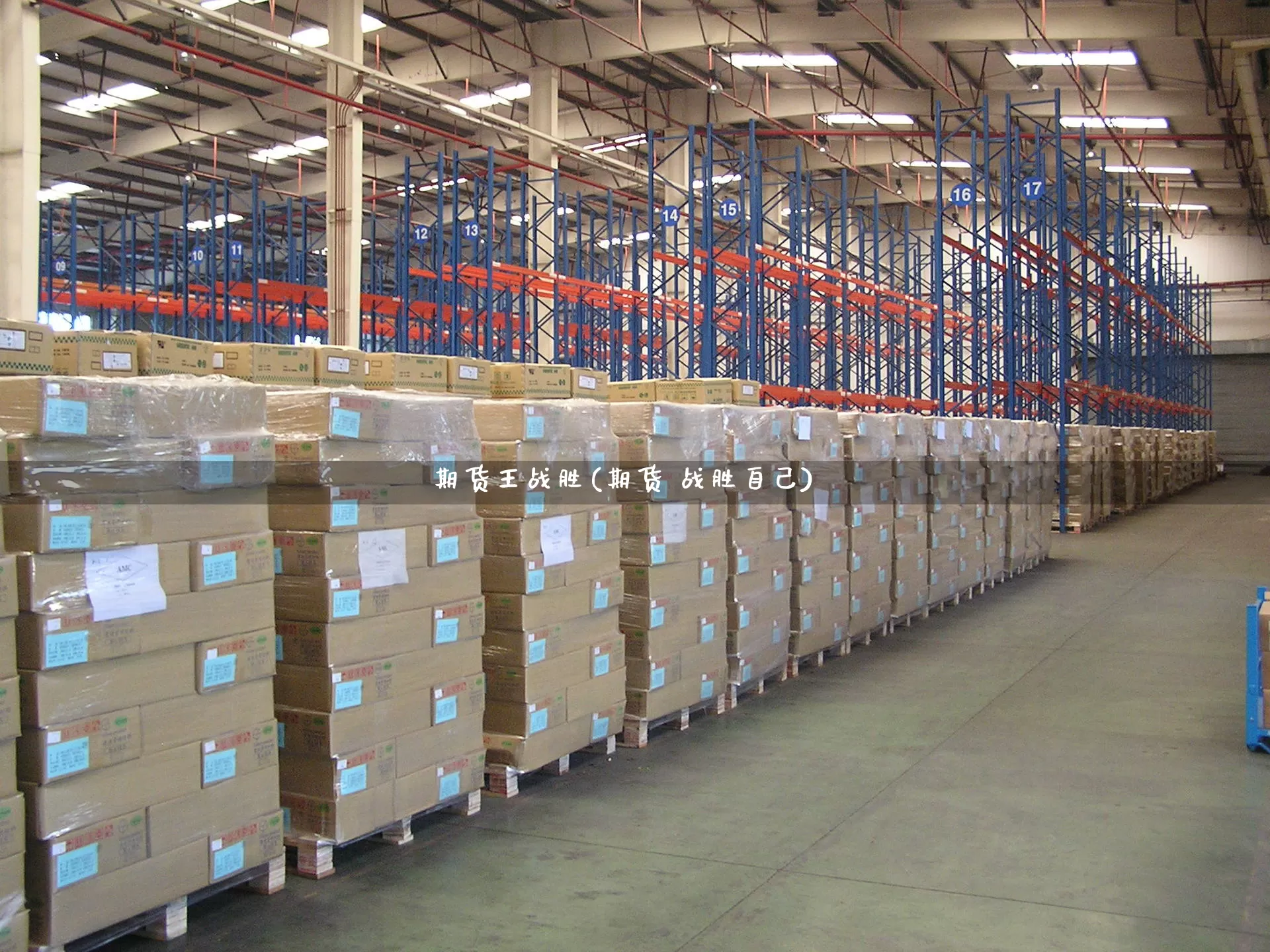 期货王战胜(期货 战胜自己)_https://www.senxinmaoyi.com_物流查询_第1张