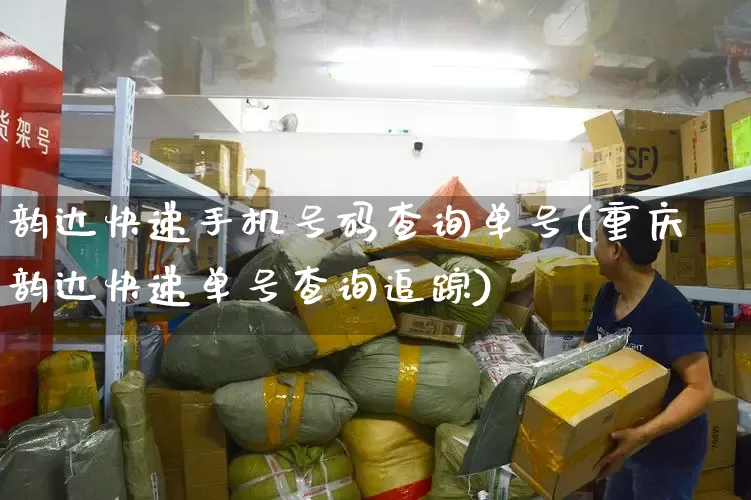 韵达快递手机号码查询单号(重庆韵达快递单号查询追踪)_https://www.senxinmaoyi.com_物流单号_第1张