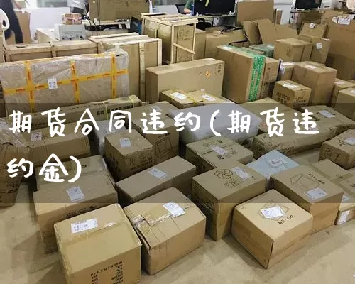 期货合同违约(期货违约金)_https://www.senxinmaoyi.com_邮政编码_第1张