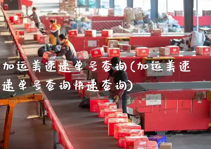 加运美速递单号查询(加运美速递单号查询快递查询)_https://www.senxinmaoyi.com_物流查询_第1张
