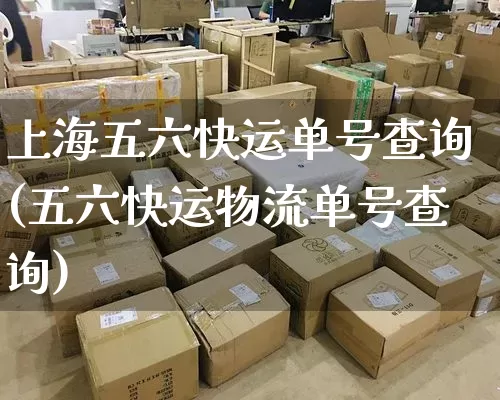 上海五六快运单号查询(五六快运物流单号查询)_https://www.senxinmaoyi.com_邮政编码_第1张