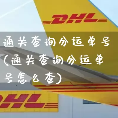 通关查询分运单号(通关查询分运单号怎么查)_https://www.senxinmaoyi.com_邮政编码_第1张