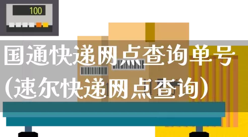 国通快递网点查询单号(速尔快递网点查询)_https://www.senxinmaoyi.com_物流查询_第1张