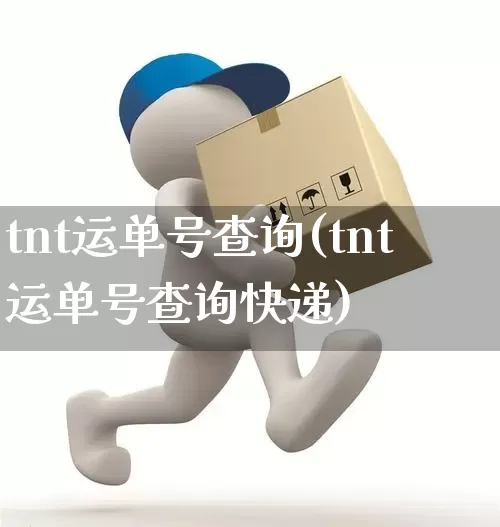tnt运单号查询(tnt运单号查询快递)_https://www.senxinmaoyi.com_快递查询_第1张