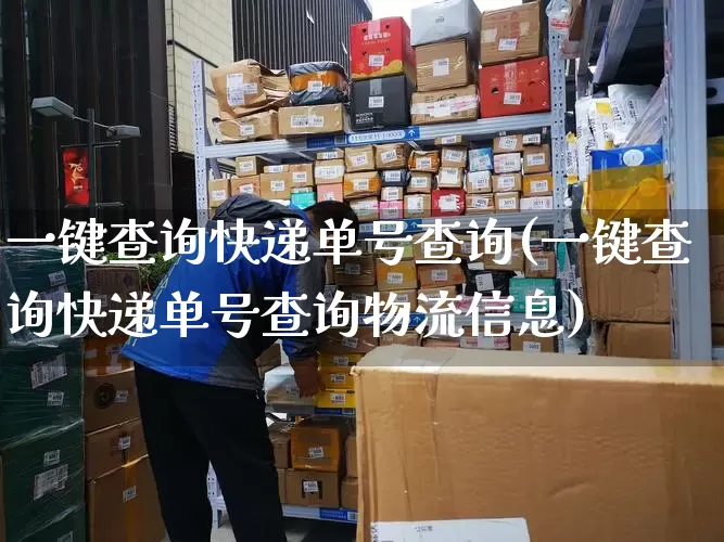 一键查询快递单号查询(一键查询快递单号查询物流信息)_https://www.senxinmaoyi.com_物流单号_第1张