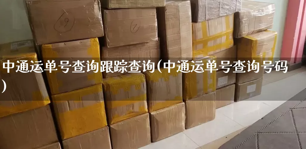 中通运单号查询跟踪查询(中通运单号查询号码)_https://www.senxinmaoyi.com_物流单号_第1张