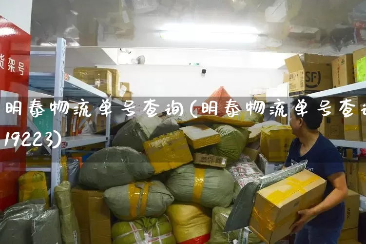 明泰物流单号查询(明泰物流单号查询1119223)_https://www.senxinmaoyi.com_物流单号_第1张