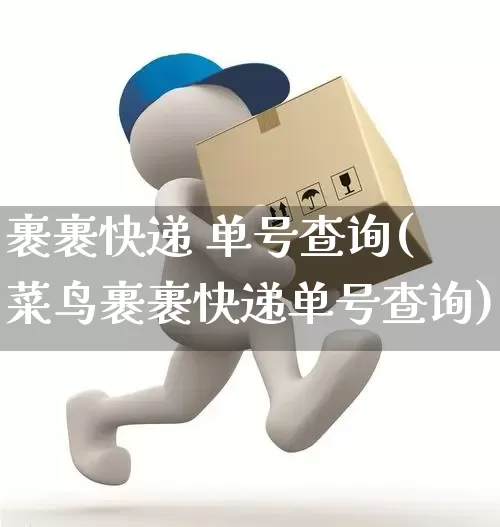 裹裹快递 单号查询(菜鸟裹裹快递单号查询)_https://www.senxinmaoyi.com_物流单号_第1张
