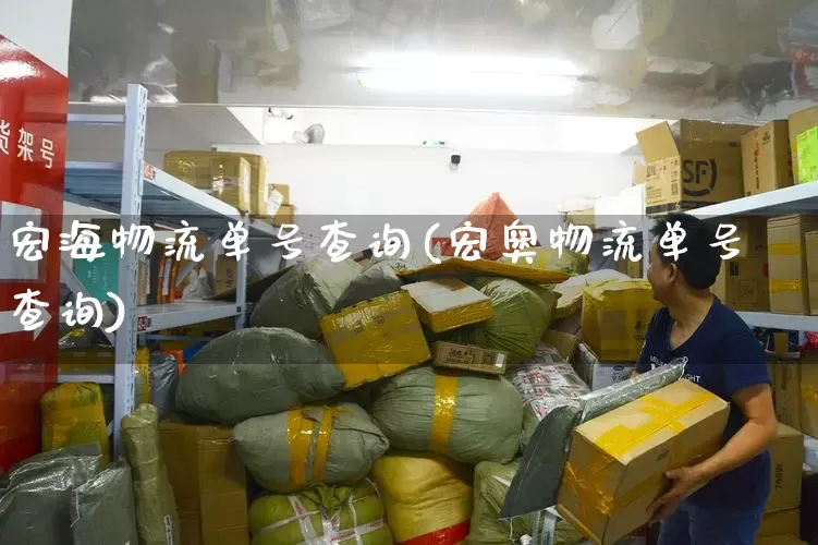 宏海物流单号查询(宏奥物流单号查询)_https://www.senxinmaoyi.com_物流单号_第1张