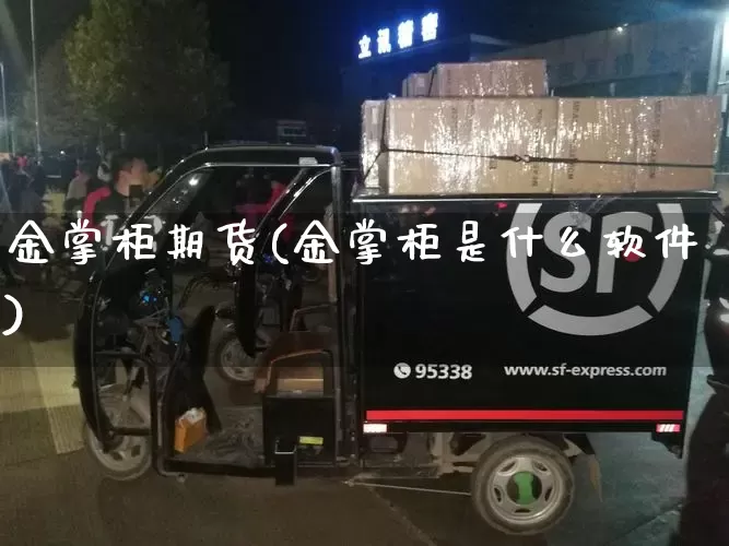 金掌柜期货(金掌柜是什么软件)_https://www.senxinmaoyi.com_物流单号_第1张