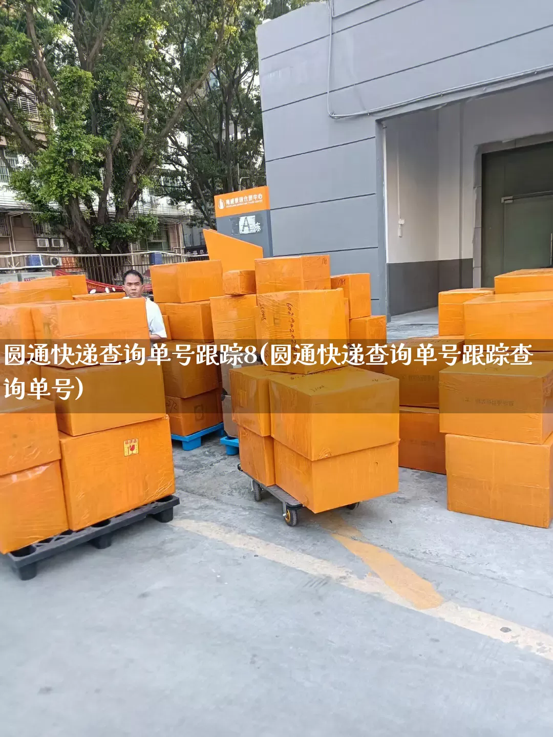 圆通快递查询单号跟踪8(圆通快递查询单号跟踪查询单号)_https://www.senxinmaoyi.com_物流单号_第1张