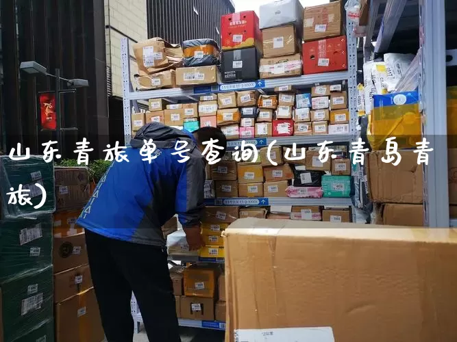 山东青旅单号查询(山东青岛青旅)_https://www.senxinmaoyi.com_物流单号_第1张