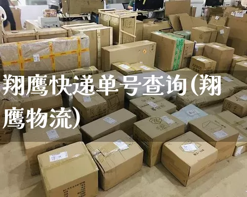 翔鹰快递单号查询(翔鹰物流)_https://www.senxinmaoyi.com_邮政编码_第1张