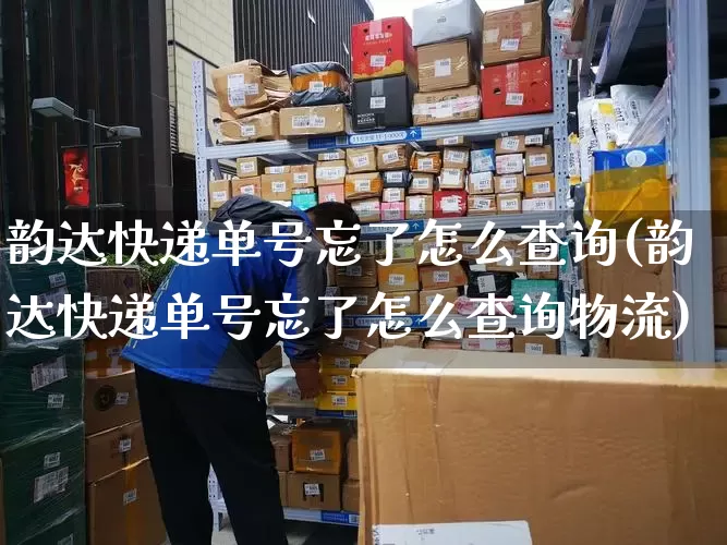 韵达快递单号忘了怎么查询(韵达快递单号忘了怎么查询物流)_https://www.senxinmaoyi.com_快递查询_第1张