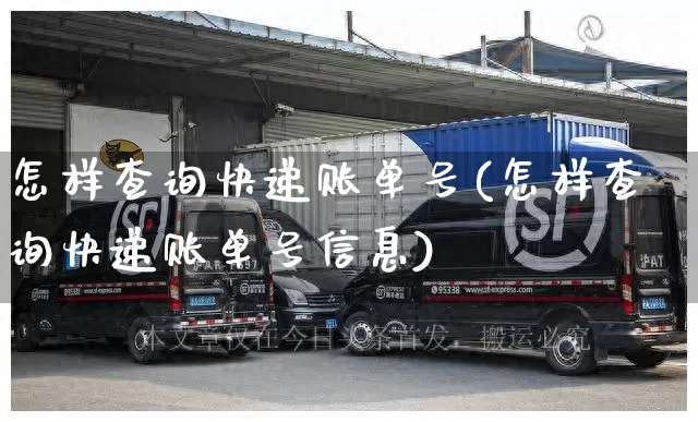 怎样查询快递账单号(怎样查询快递账单号信息)_https://www.senxinmaoyi.com_邮政编码_第1张