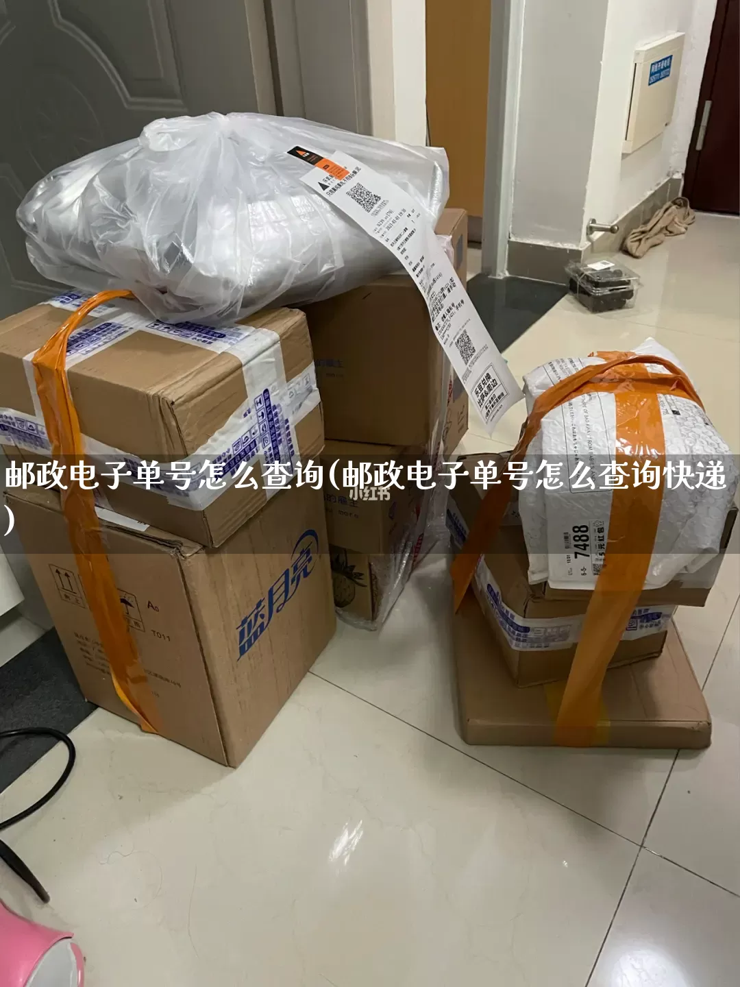 邮政电子单号怎么查询(邮政电子单号怎么查询快递)_https://www.senxinmaoyi.com_邮政编码_第1张