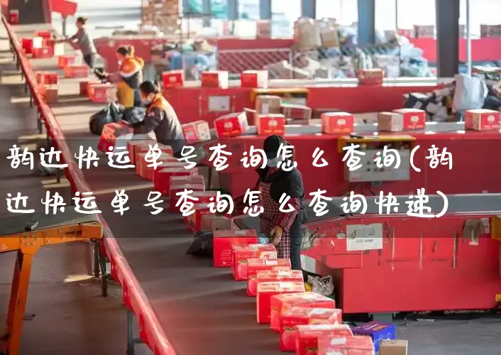 韵达快运单号查询怎么查询(韵达快运单号查询怎么查询快递)_https://www.senxinmaoyi.com_邮政编码_第1张