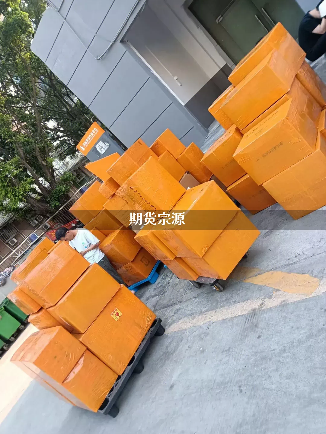 期货宗源_https://www.senxinmaoyi.com_邮政编码_第1张