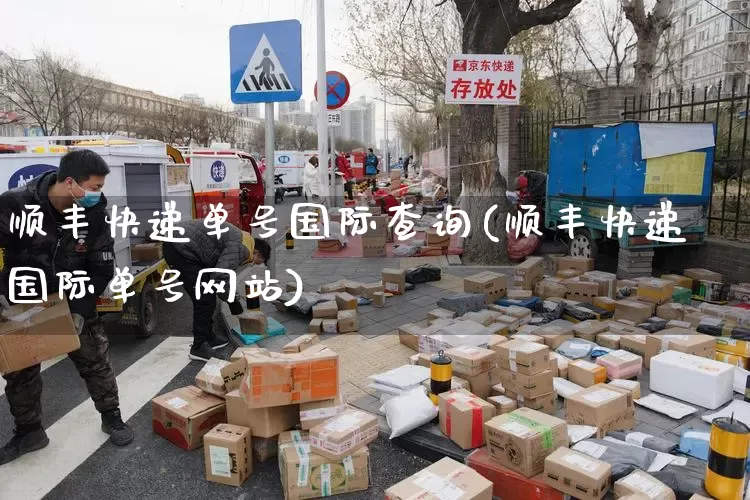 顺丰快递单号国际查询(顺丰快递国际单号网站)_https://www.senxinmaoyi.com_物流查询_第1张