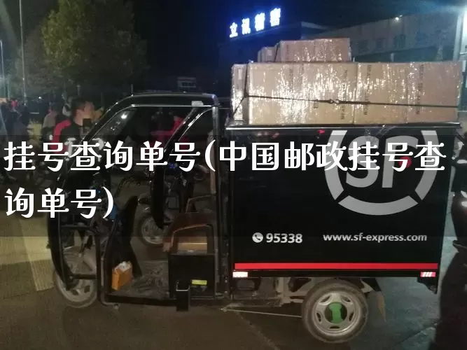 挂号查询单号(中国邮政挂号查询单号)_https://www.senxinmaoyi.com_快递查询_第1张